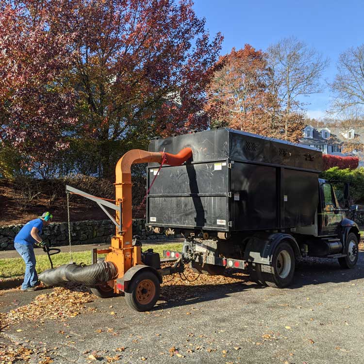 fall clean ups north attleboro mansfield wrentham ma 750px