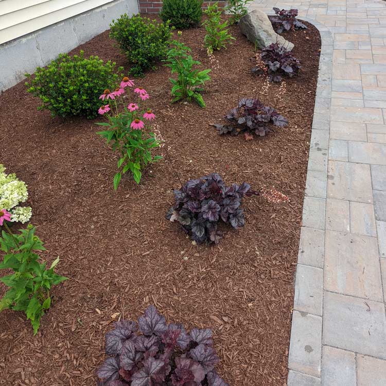 mulching north attleboro mansfield wrentham ma 750px